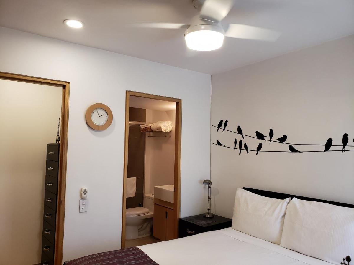 Luxury Apartment In Carso, Polanco Meksika Dış mekan fotoğraf