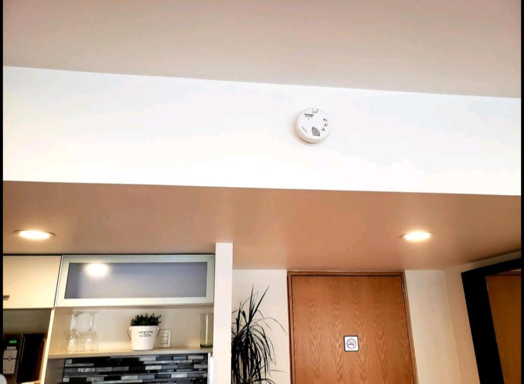 Luxury Apartment In Carso, Polanco Meksika Dış mekan fotoğraf