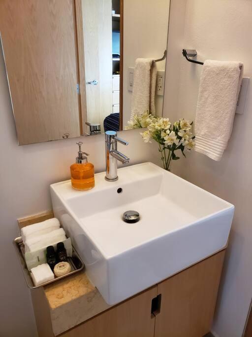 Luxury Apartment In Carso, Polanco Meksika Dış mekan fotoğraf