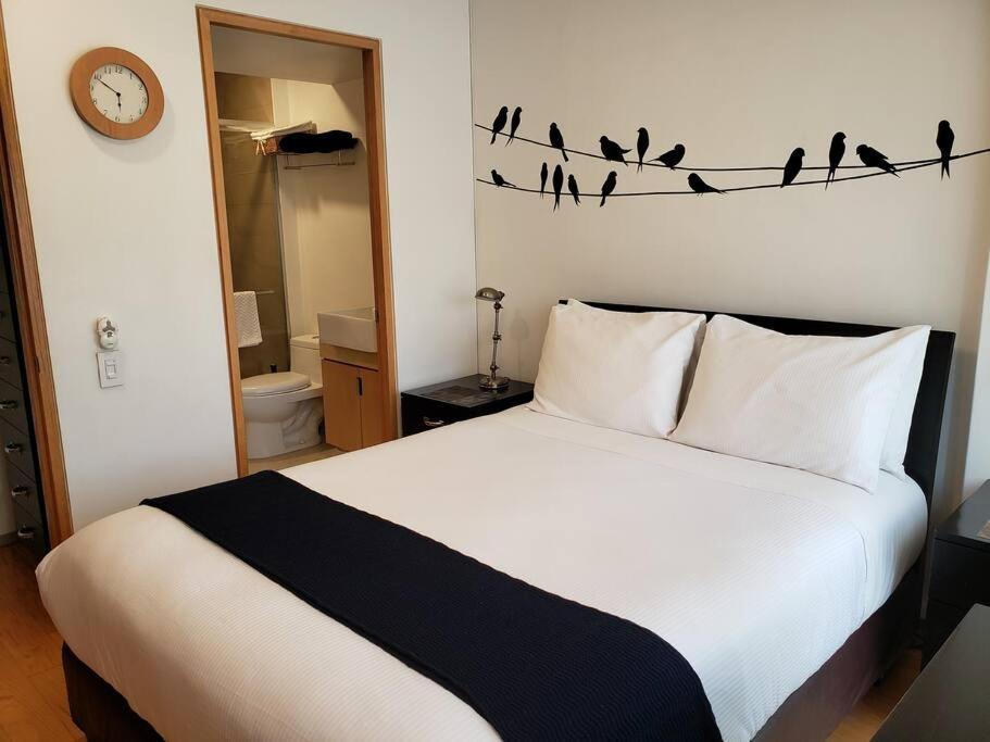 Luxury Apartment In Carso, Polanco Meksika Dış mekan fotoğraf